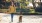 a woman walking a dog
