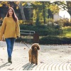 a woman walking a dog